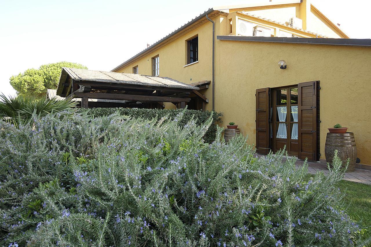 Agriturismo Il Pelago 카스타니에토카르두치 외부 사진