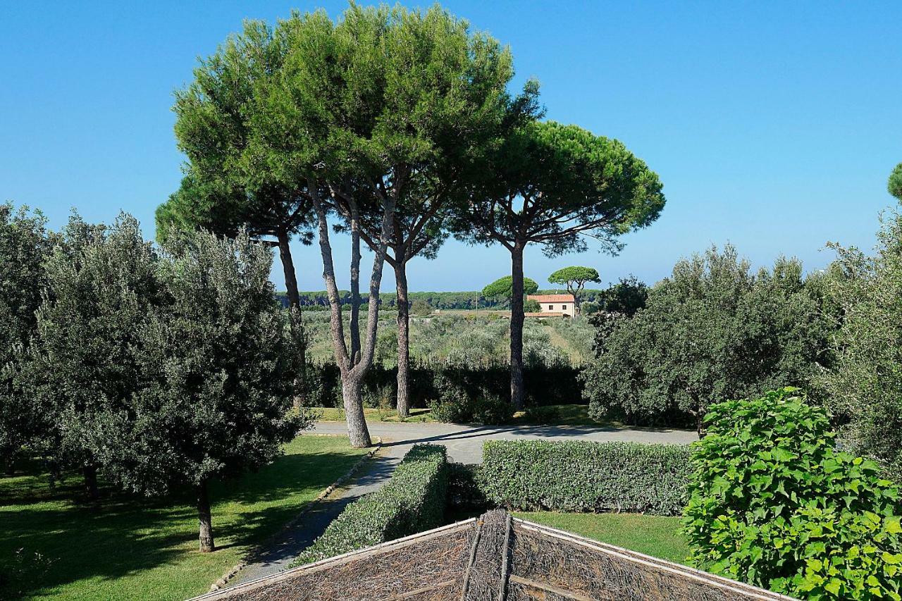 Agriturismo Il Pelago 카스타니에토카르두치 외부 사진