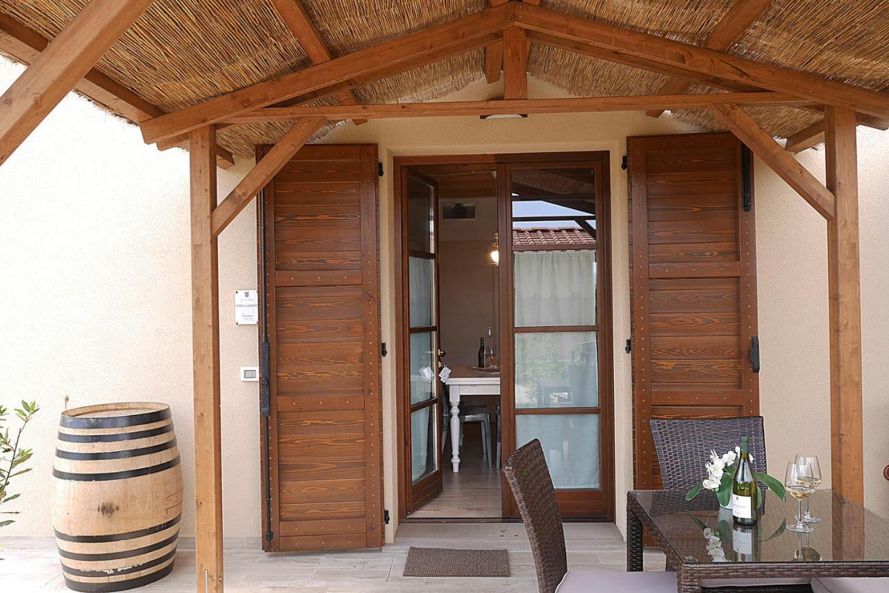 Agriturismo Il Pelago 카스타니에토카르두치 외부 사진